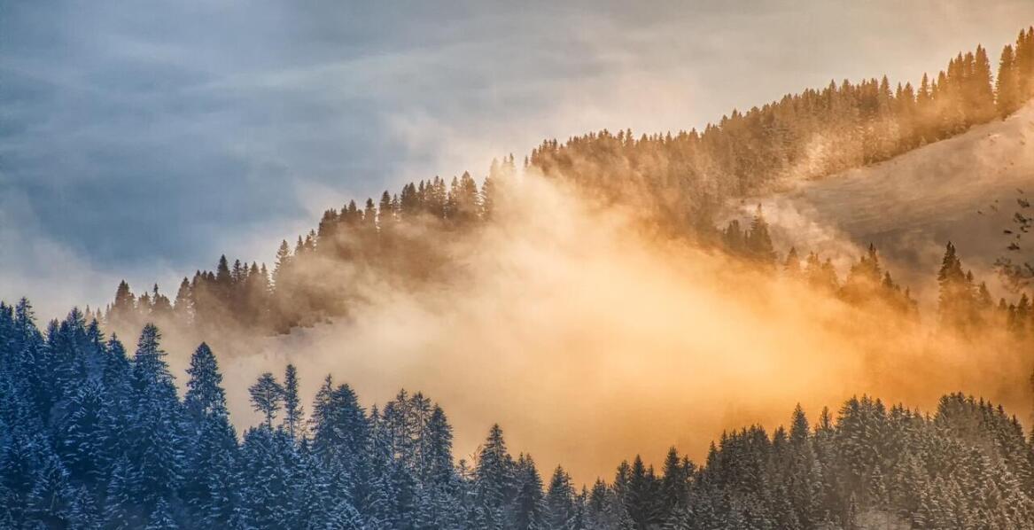 Sprawdź, czy jesteś zimą