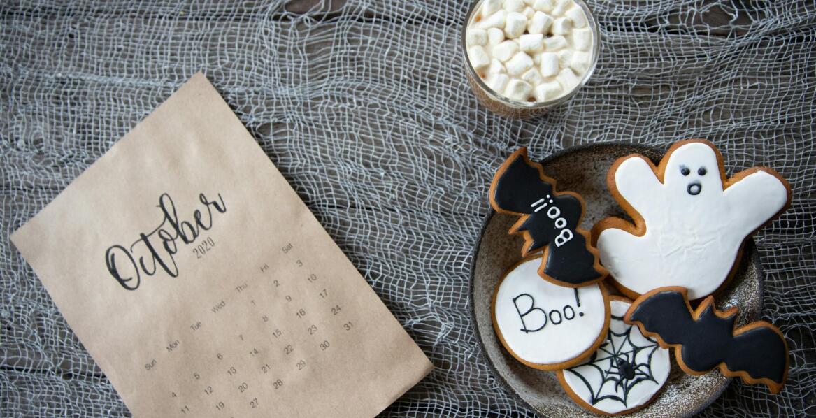 Mroczek późny, czyli duży nietoperz