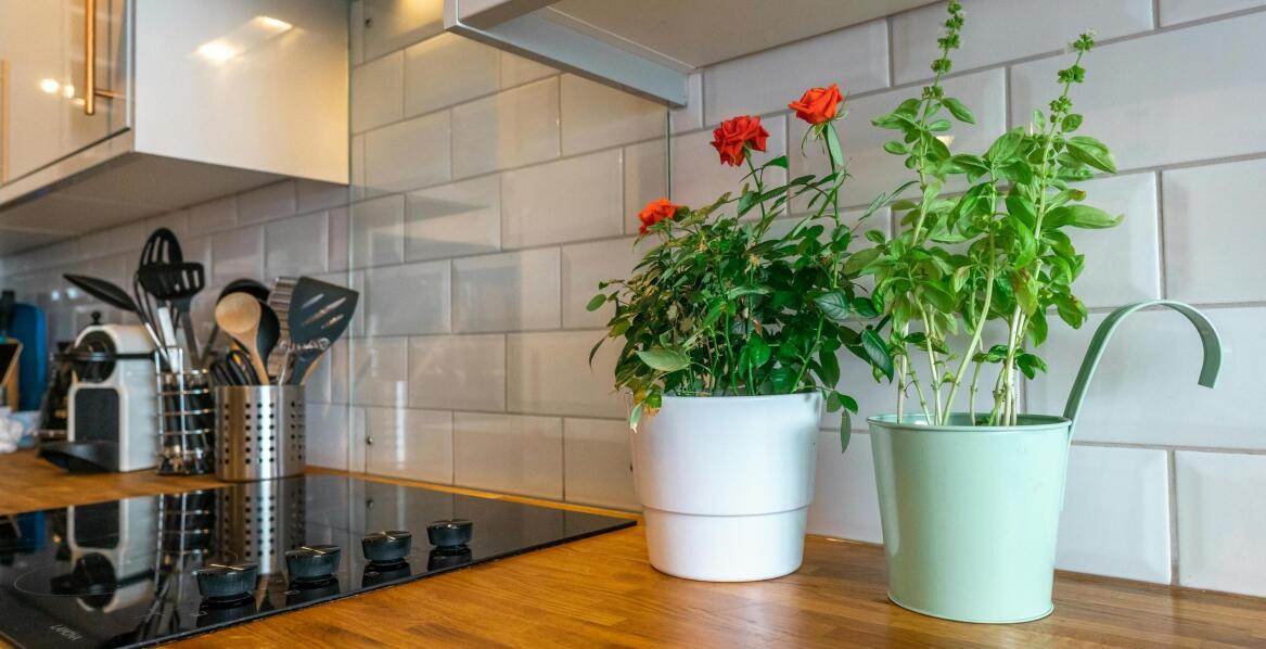 Kuchenna czarodziejka