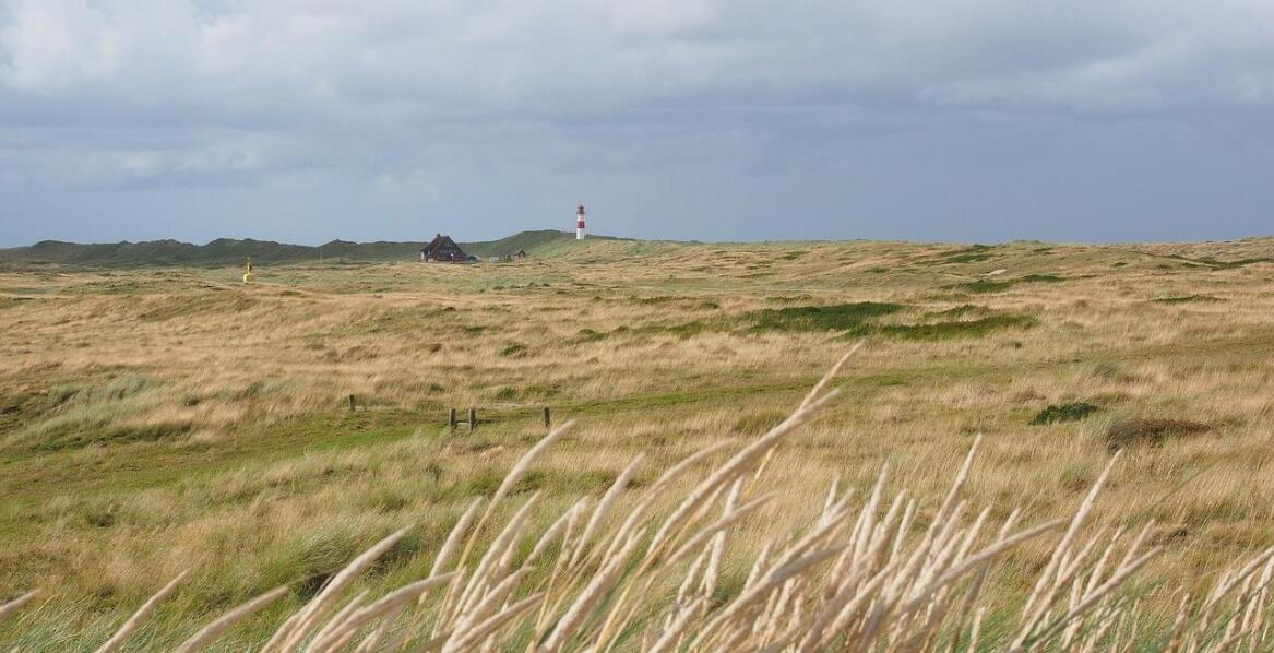 Bolesny problem – łokieć golfisty