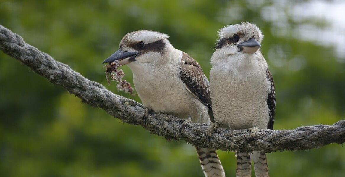 Zabierz rodzinę do zoo