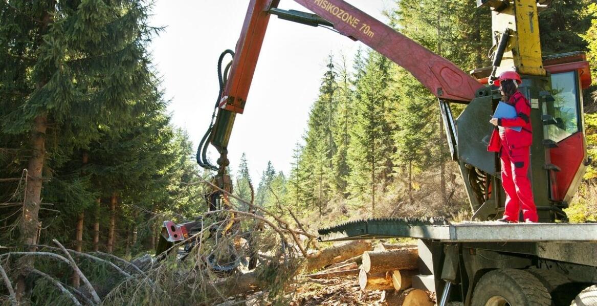 Dźwig kobyłka a mobilność: jak sprawdza się w trudnych warunkach terenowych?