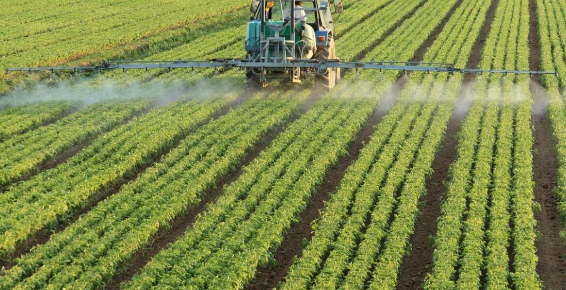 Nawozy azotowe i ich wpływ na zdrowie roślin: odkryj kluczowe informacje