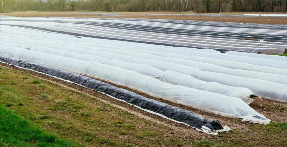 Plandeki jako element ochrony mienia – dlaczego ich montaż jest istotny?