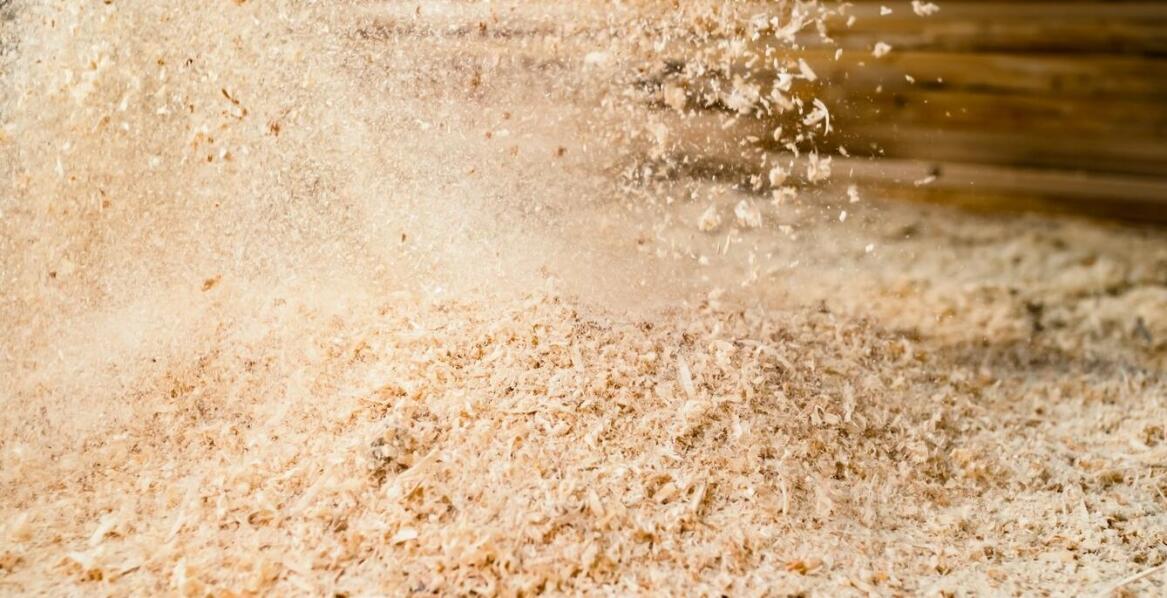 Jakie są najczęstsze błędy przy organizacji odbioru odpadów drzewnych?