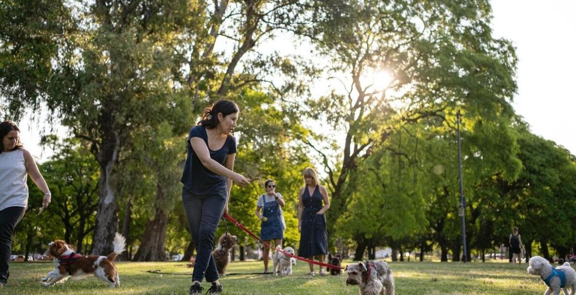 Tresura psa Mińsk Mazowiecki: jak dostosować szkolenie do indywidualnych potrzeb pupila?