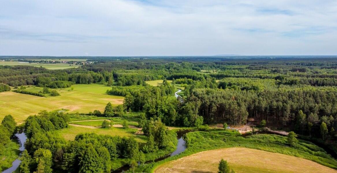 Tanie noclegi w Białymstoku a bliskość do atrakcji przyrodniczych – co warto zobaczyć?