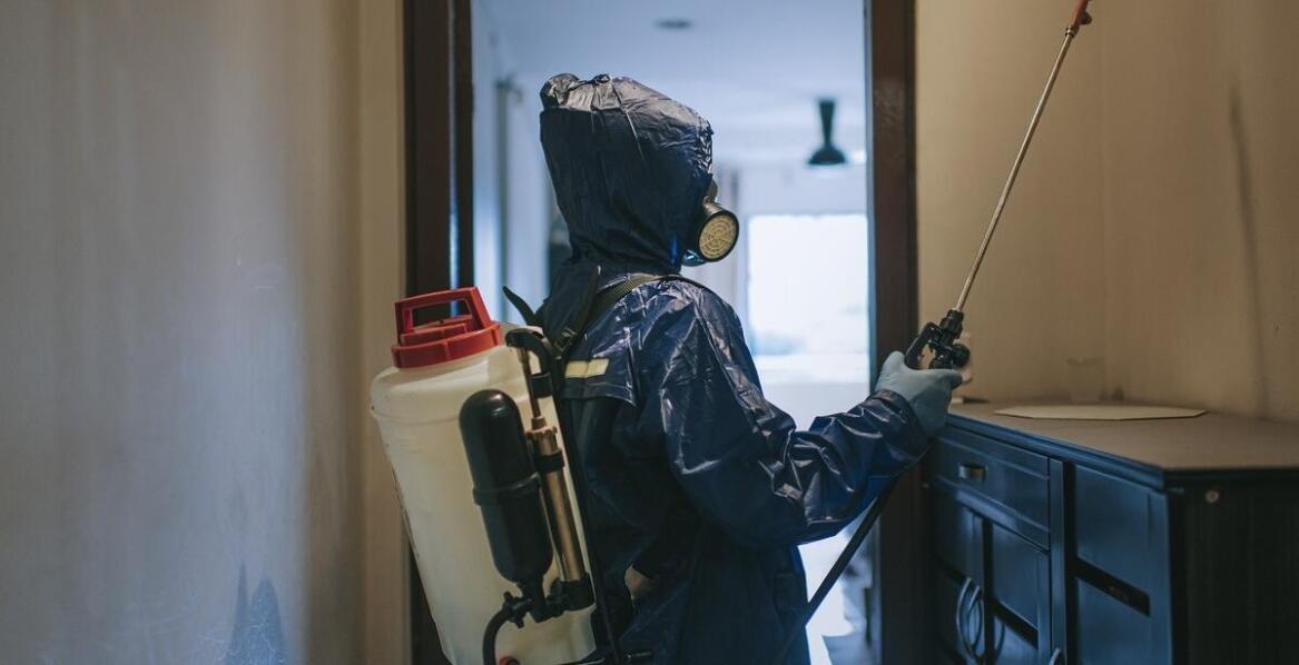 Przypadki sukcesu – historie klientów, którzy skorzystali z usług zwalczania prusaków w Lublinie