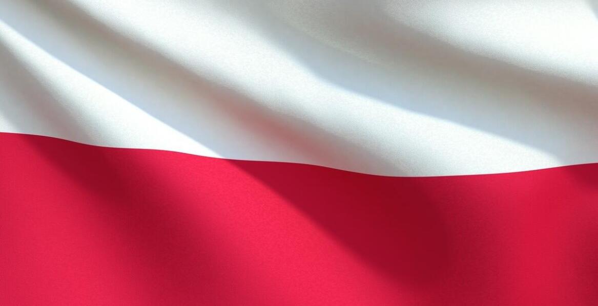 Jak portal dla Polaków za granicą wspiera integrację społeczności polskiej?