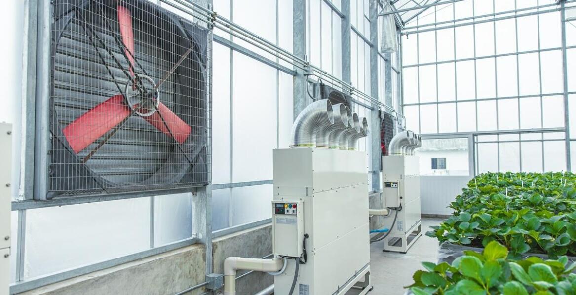 Jakie są kluczowe zalety osuszaczy powietrza przemysłowych?