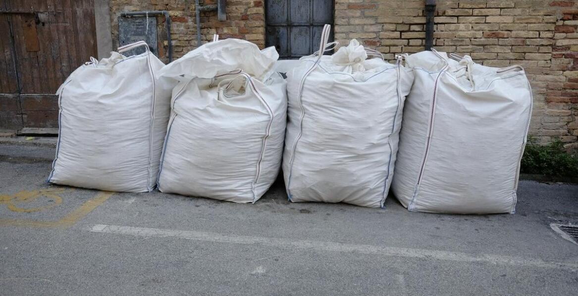 Jakie są objawy uszkodzeń roślin spowodowanych solą drogową?