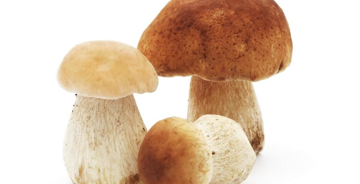 Jakie są zalety kupowania suszonych kurek w zalewie naturalnej?