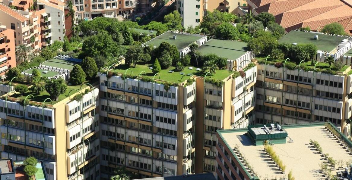 Jakie korzyści niesie za sobą uprawa nasion kwiatów na balkon dla lokalnych ekosystemów?