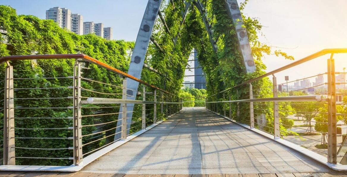 Park linowy: Odkryj cztery trasy o różnym poziomie trudności!