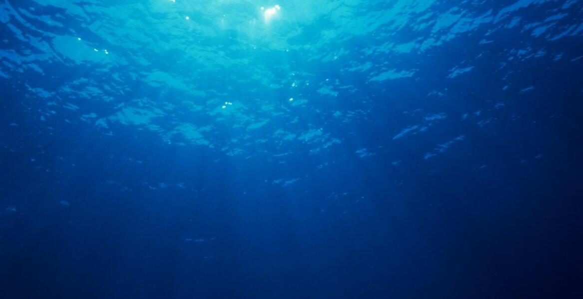 Oświetlenie LED w nurkowaniu – dlaczego warto je wybrać?