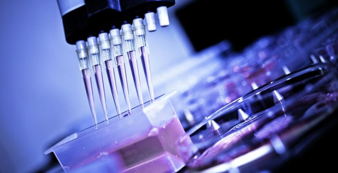 Wpływ genetyki na skuteczność terapii FMT u pacjentów z infekcją Clostridium difficile