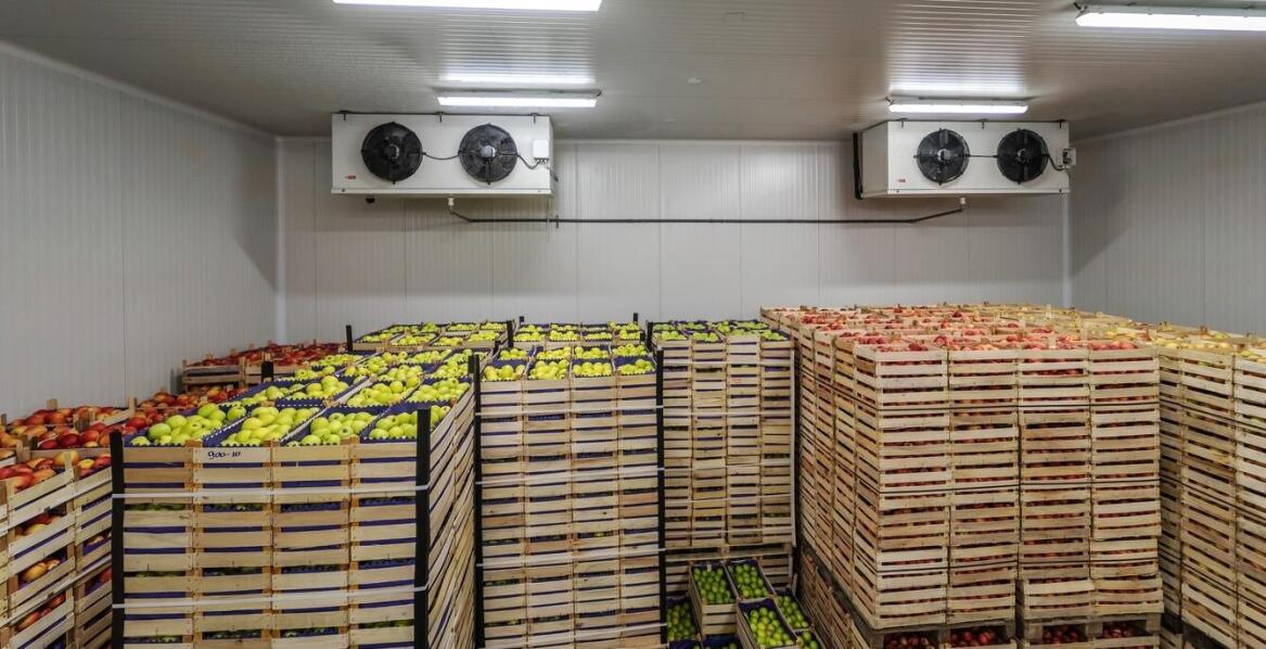 Kluczowe technologie w mrożeniu towarów: co warto wdrożyć w firmie?