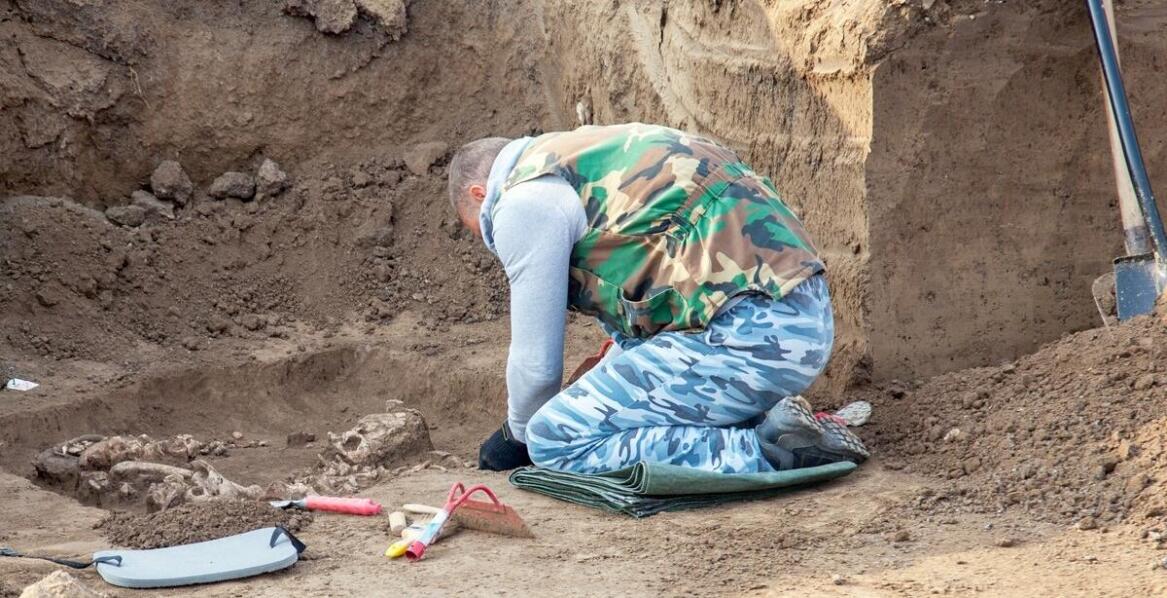 Jakie metody stosuje się w ramach dozoru geologicznego dla zapewnienia jakości badań?