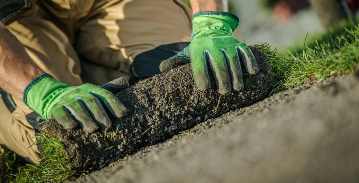 Trawnik z rolki – idealne rozwiązanie dla intensywnie użytkowanych przestrzeni
