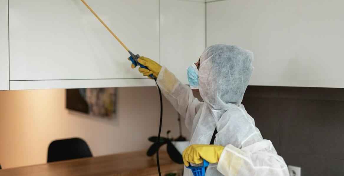 Usuwanie pleśni i wilgoci – dlaczego warto skorzystać z profesjonalnych usług?