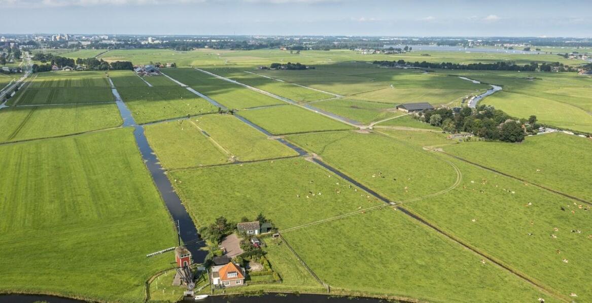 Jakie korzyści przynoszą paliki do pastucha elektrycznego w hodowli owiec?