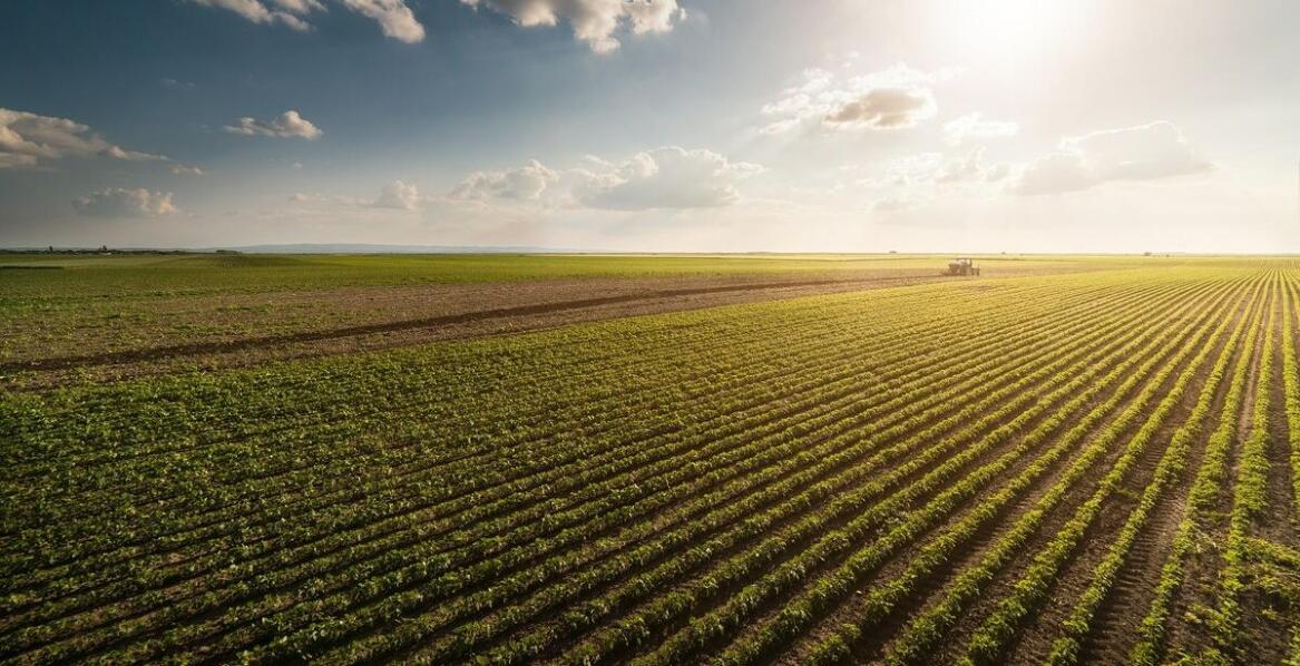 Jak dostosowanie specyfikacji sit do indywidualnych potrzeb rolnika zwiększa efektywność?