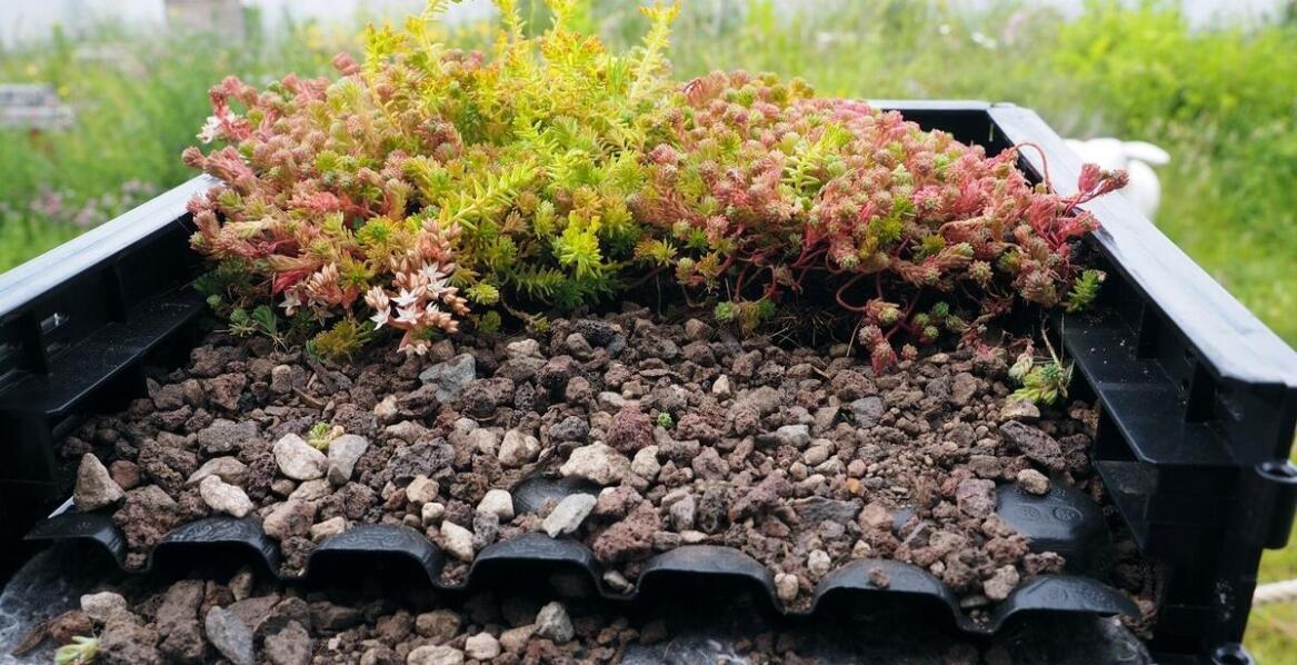 Jakie materiały są najlepsze do budowy systemów retencji powierzchniowej?