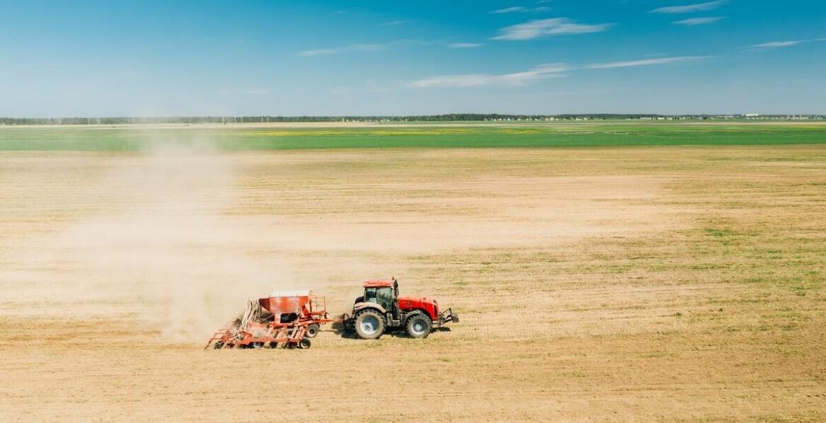 Sito do zboża a efektywność procesów czyszczenia i sortowania