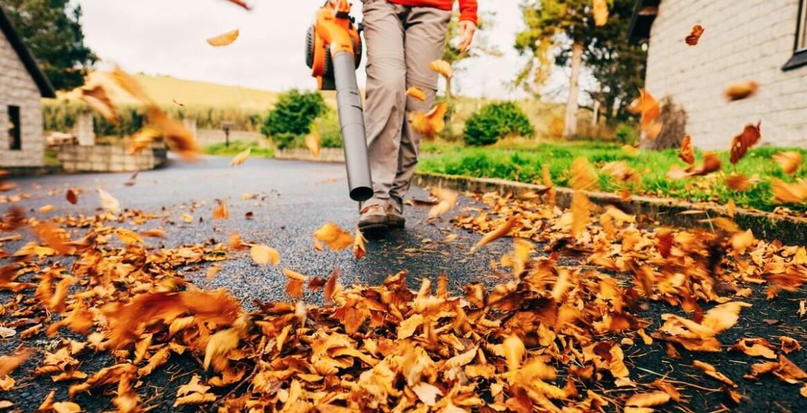 Dmuchawy elektryczne vs spalinowe – które lepsze do Twojego ogrodu?