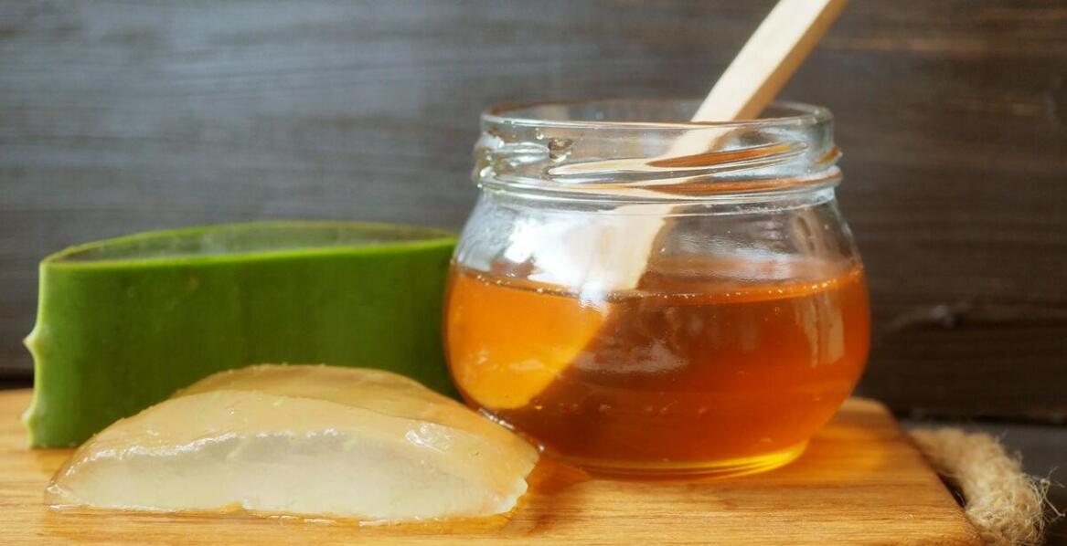 Jak liście aloesu mogą wspierać procesy gojenia ran?