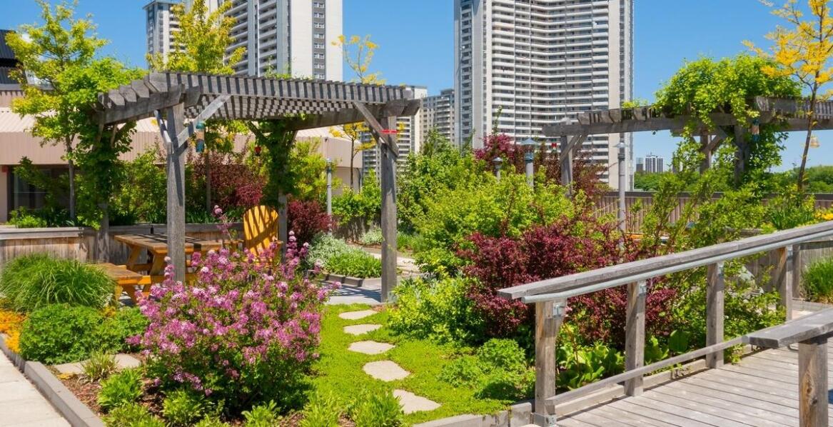 Zrównoważone podejście do ochrony roślin – jak łączyć skuteczność z ekologią?