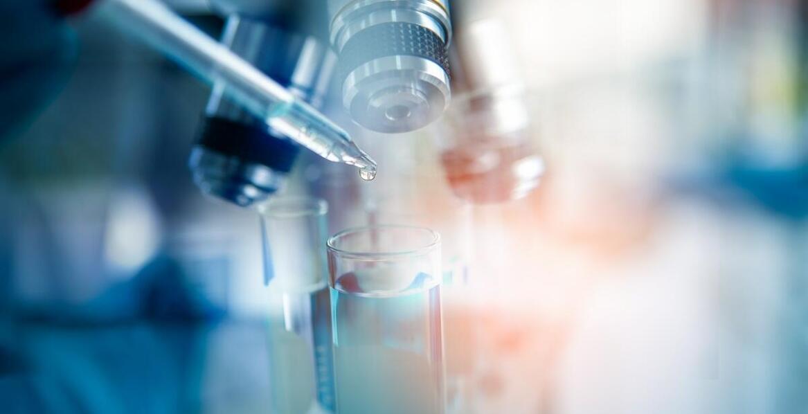 Jakie badania diagnostyczne oferuje weterynarz dla zwierząt domowych?