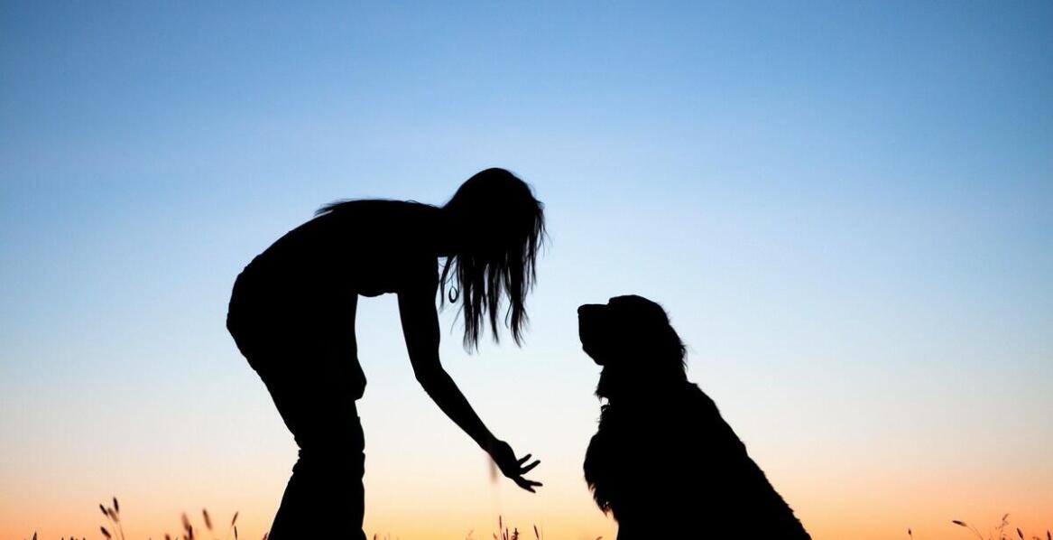 Rola opiekuna w procesie szkolenia psa obronnego – co warto wiedzieć?