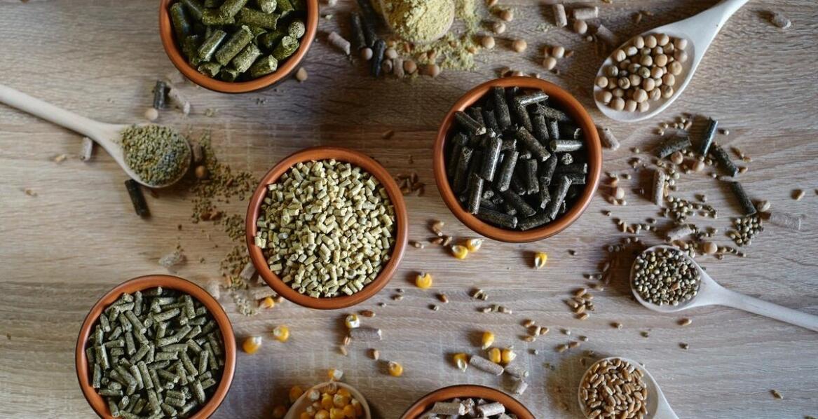 Jak koncentrat ziołowy Regalen wspiera detoksykację organizmu?