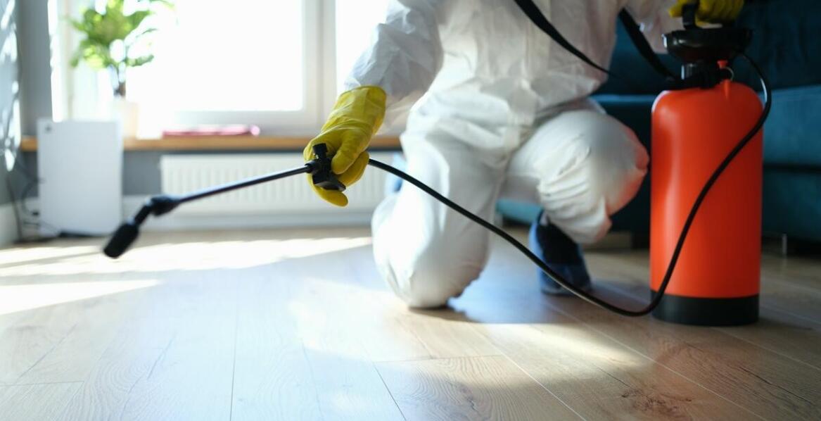 Metody dezynsekcji w walce z pluskwami: co wybrać?