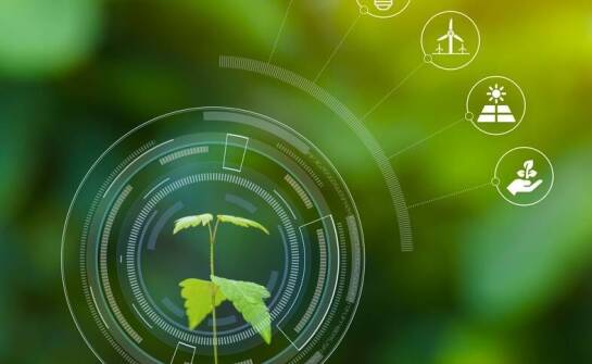 Co to jest EPD tynk i jakie ma znaczenie dla branży budowlanej?