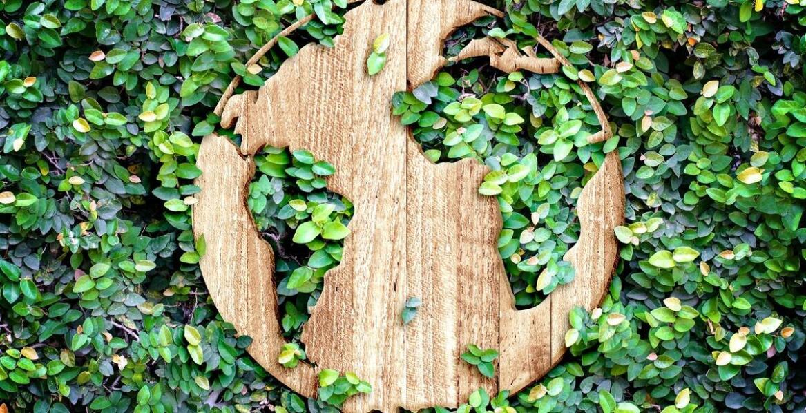 Magnesy neodymowe a ekologia – czy są przyjazne dla środowiska?