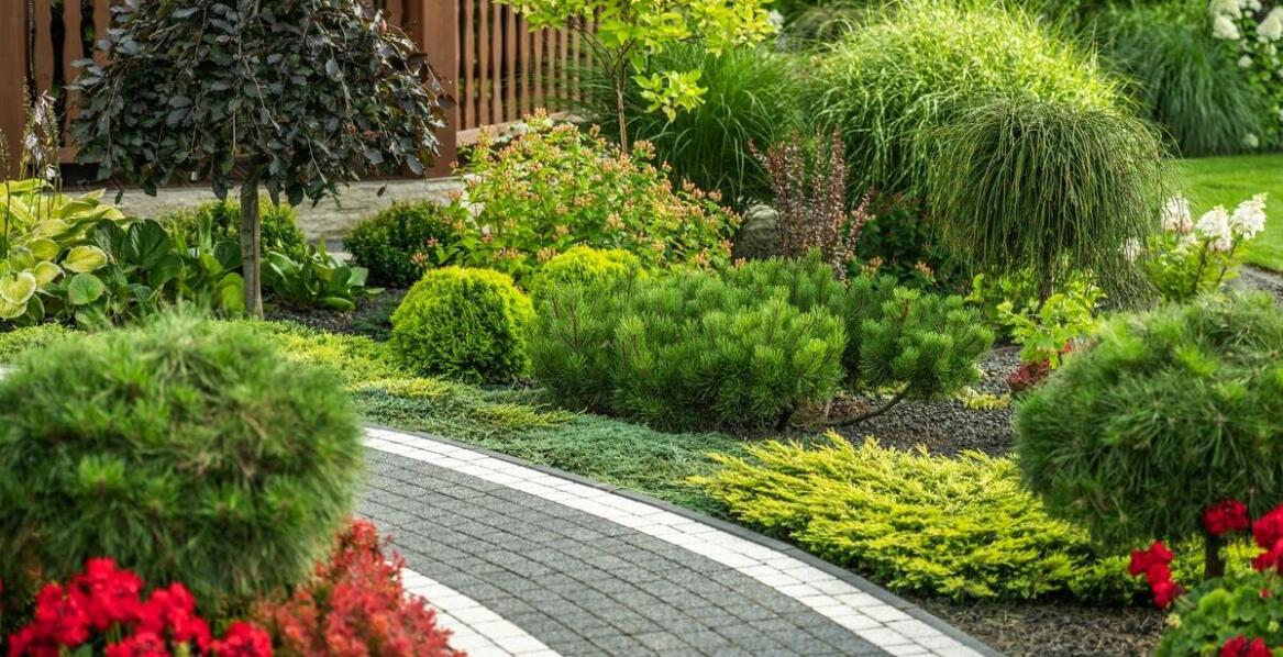 Kora sosnowa – naturalny materiał do ogrodu, który warto poznać