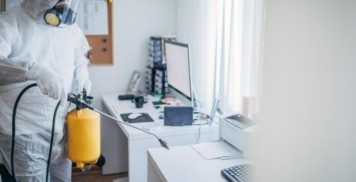 Rola kompleksowego czyszczenia mieszkań z insektów i szkodników – co to oznacza dla właścicieli?