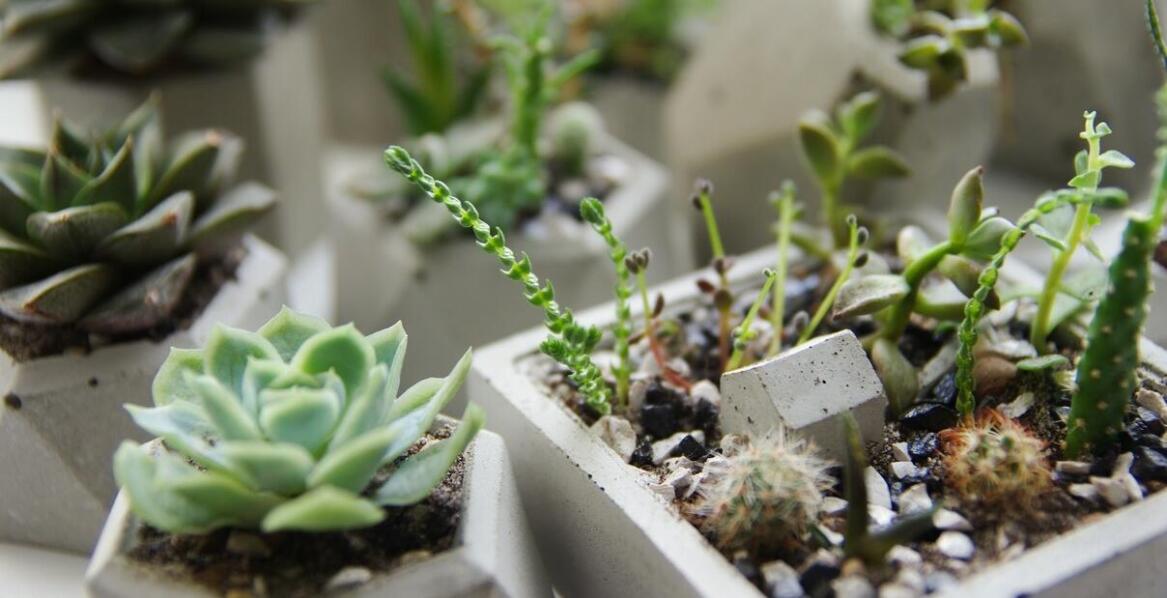 Trwałość kwietników betonowych – co warto wiedzieć przed zakupem?