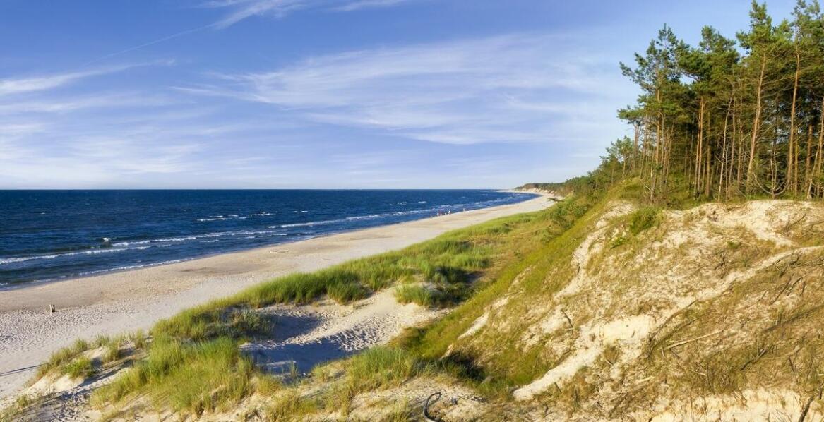 Karczownica Honda a inne urządzenia ogrodnicze – co wyróżnia ten model?