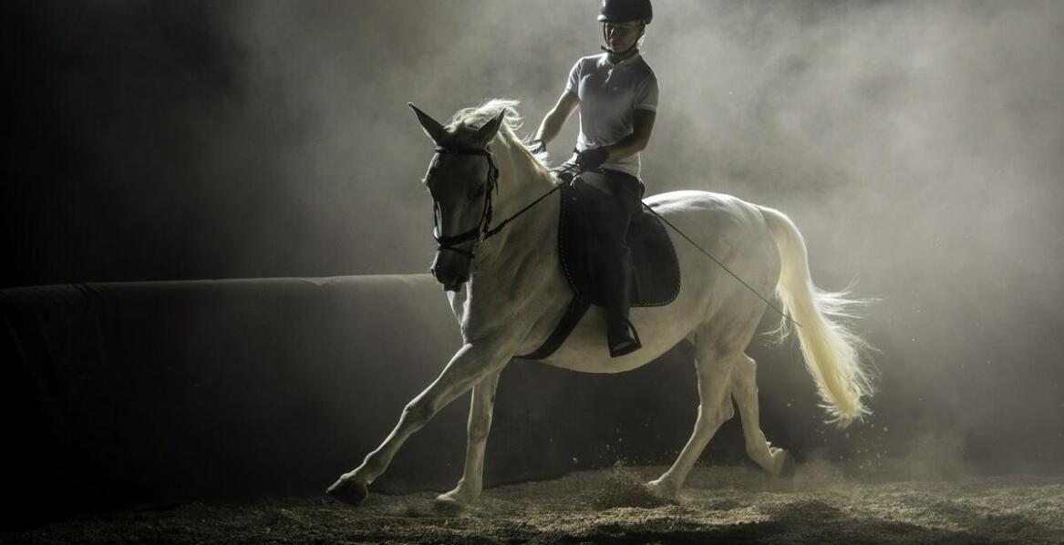 Jakie umiejętności trzeba mieć, aby zostać instruktorem jazdy konnej?