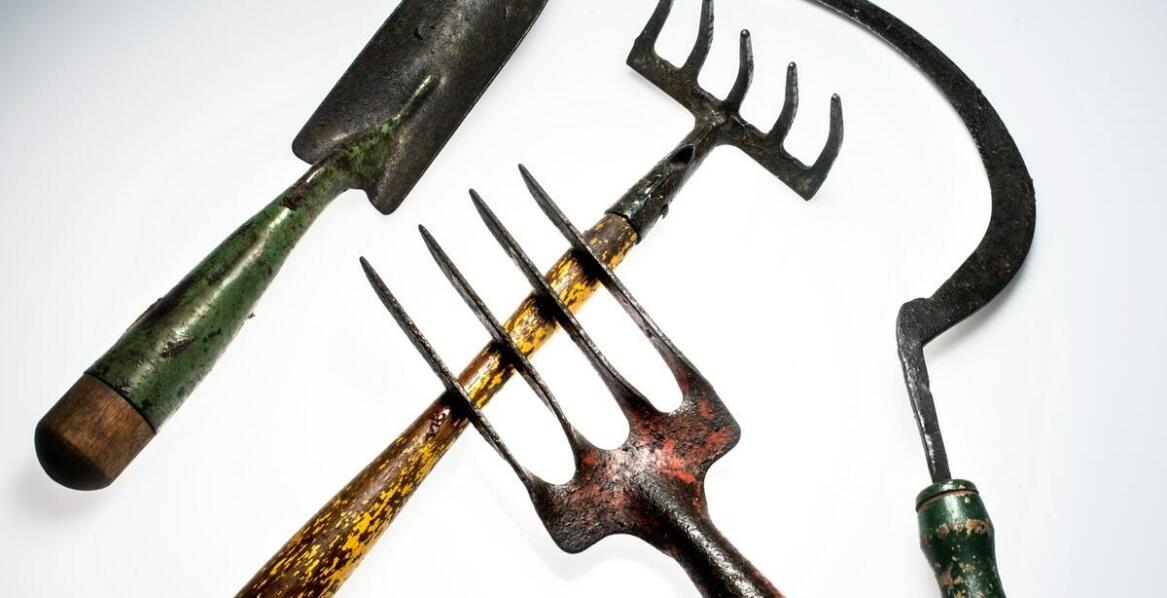 Jak przygotować sprzęt do sezonu koszenia trawy?