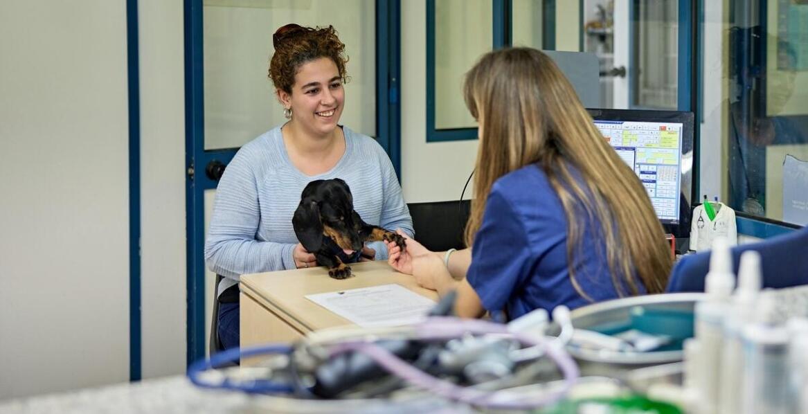 Jak oprogramowanie HIS wpływa na jakość opieki nad pacjentem?