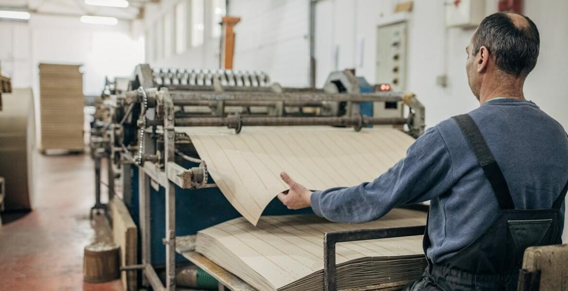 Drylab a ochrona środowiska: jakie są ekologiczne opcje papieru?