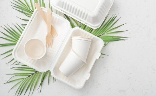 Dlaczego warto inwestować w ekologiczne pojemniki na obiad na wynos dla swojego lokalu?