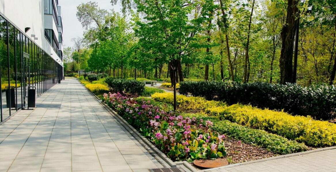 Jakie są zalety mieszkań na sprzedaż z ogródkiem w Stalowej Woli?