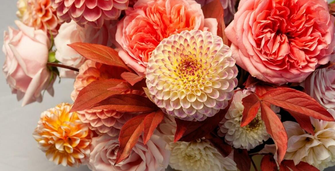 Symbolika kwiatów na święto zmarłych: co warto wiedzieć?