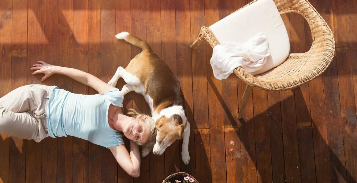 Co powinno znaleźć się w planie profilaktycznym dla Twojego pupila według weterynarza w Warszawie?