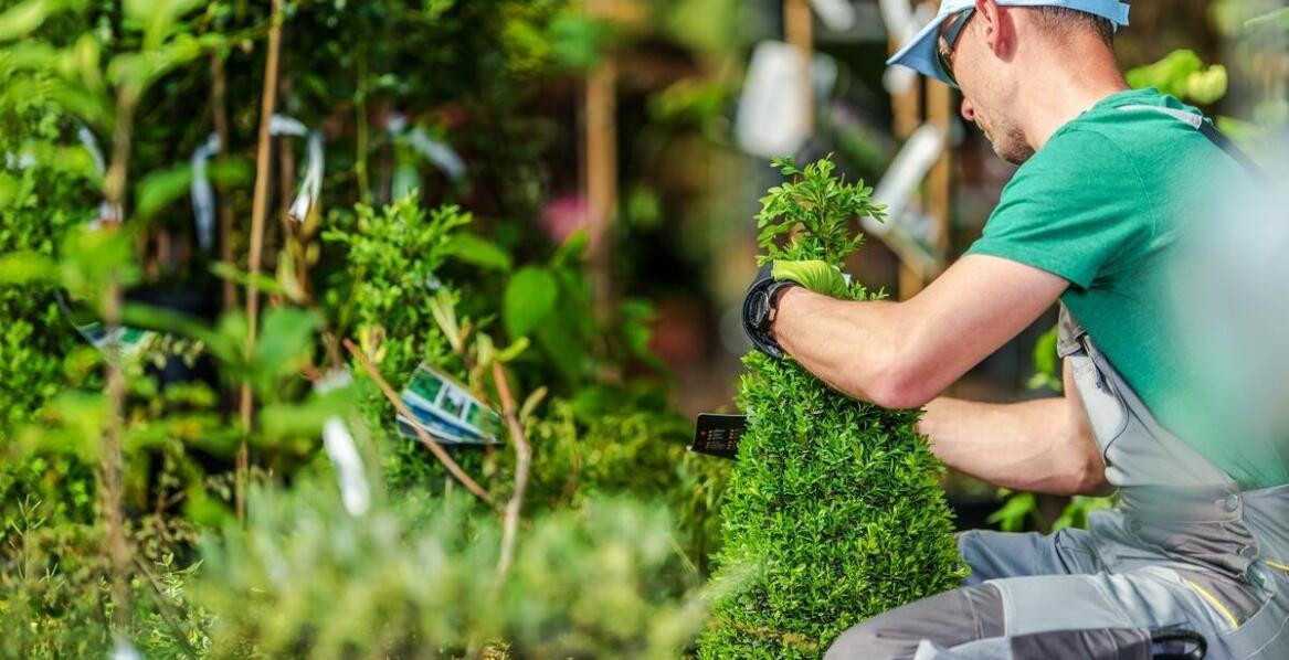 Jakie usługi dodatkowe mogą wspierać projektowanie i pielęgnację ogrodów w Wyszkowie?